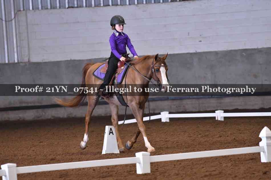 Proof Number 21YN_07541