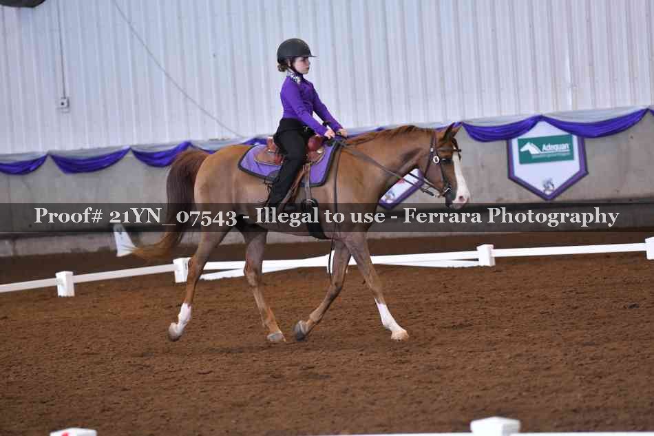 Proof Number 21YN_07543