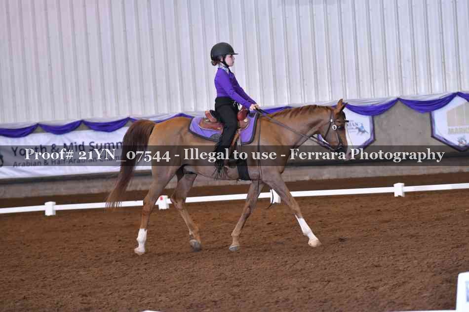 Proof Number 21YN_07544