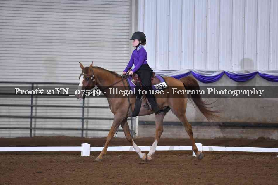 Proof Number 21YN_07549