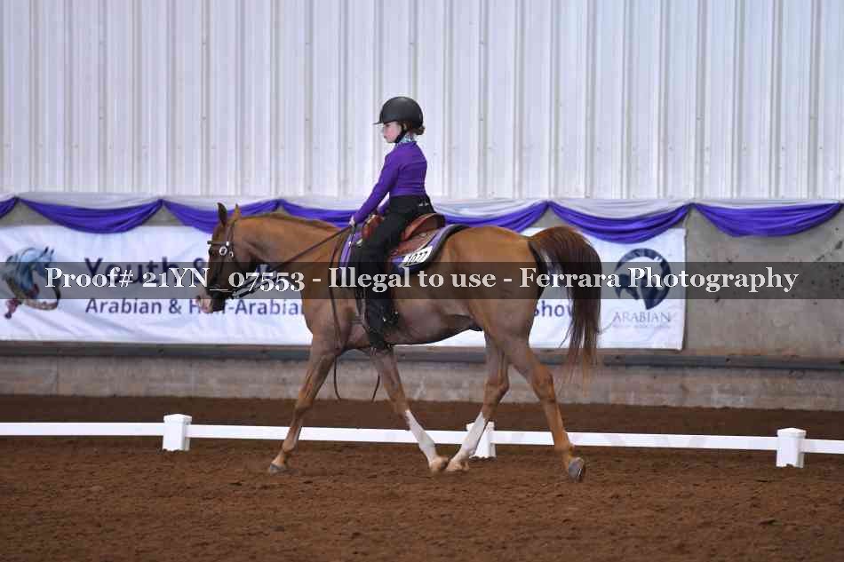 Proof Number 21YN_07553