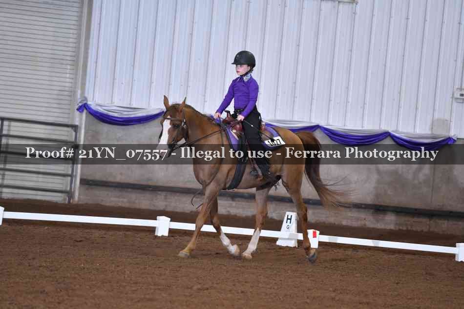 Proof Number 21YN_07557
