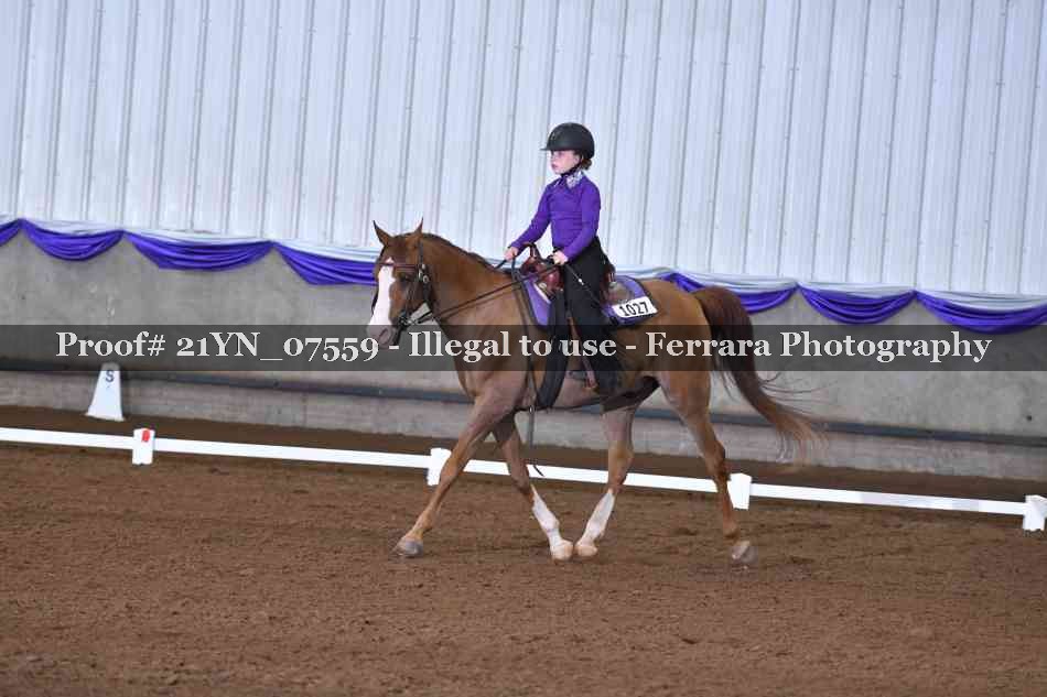 Proof Number 21YN_07559