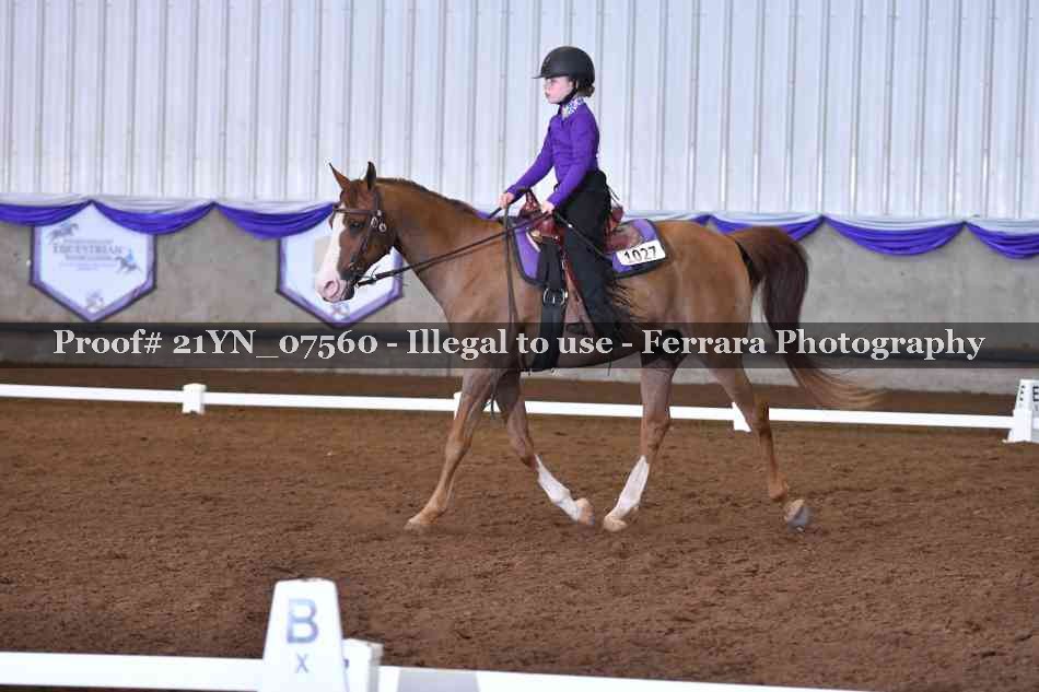 Proof Number 21YN_07560