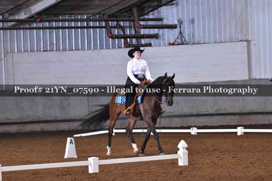Proof Number 21YN_07590