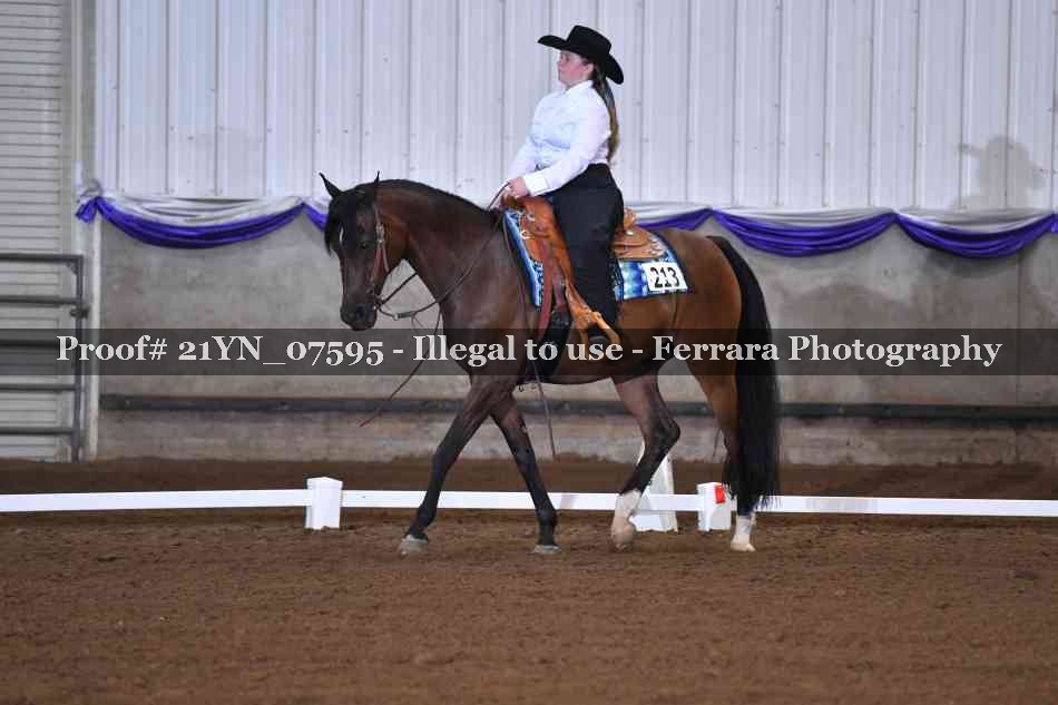 Proof Number 21YN_07595