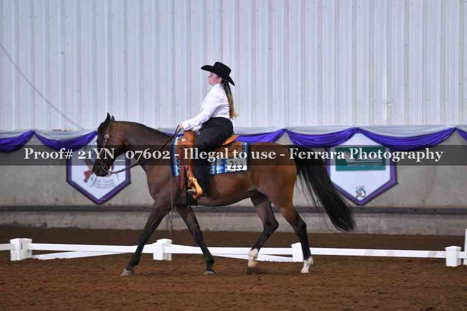 Proof Number 21YN_07602
