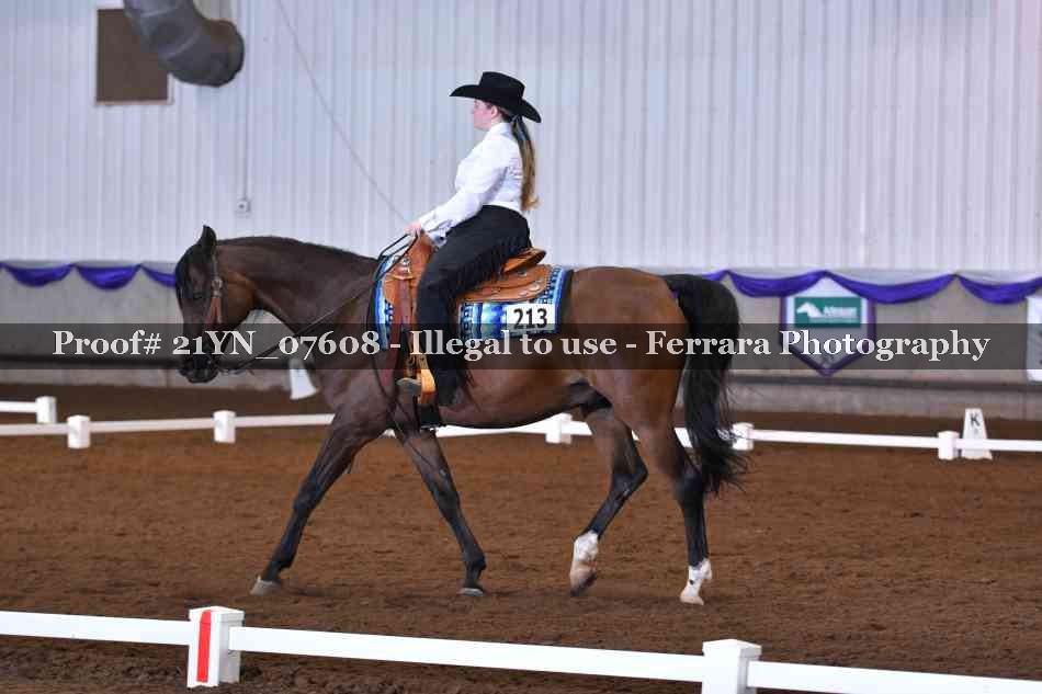 Proof Number 21YN_07608