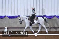 21YN_07614 thumbnail