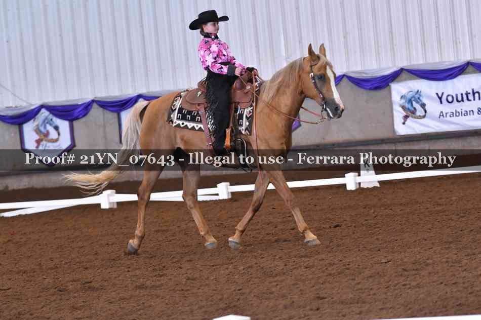 Proof Number 21YN_07643