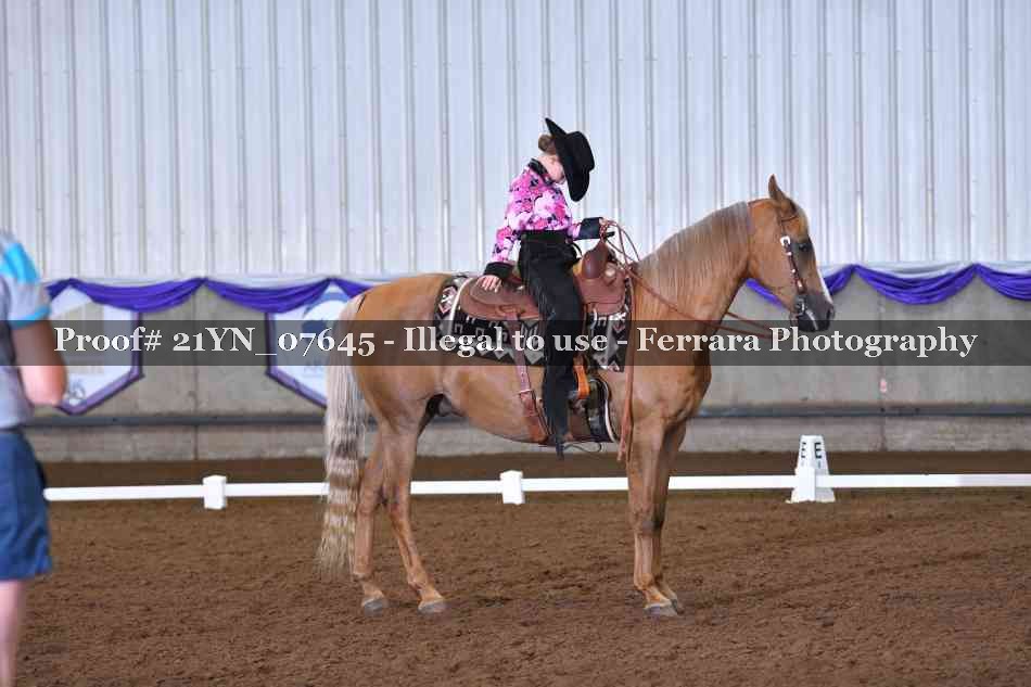 Proof Number 21YN_07645