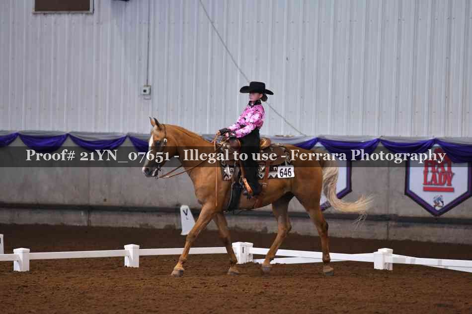 Proof Number 21YN_07651