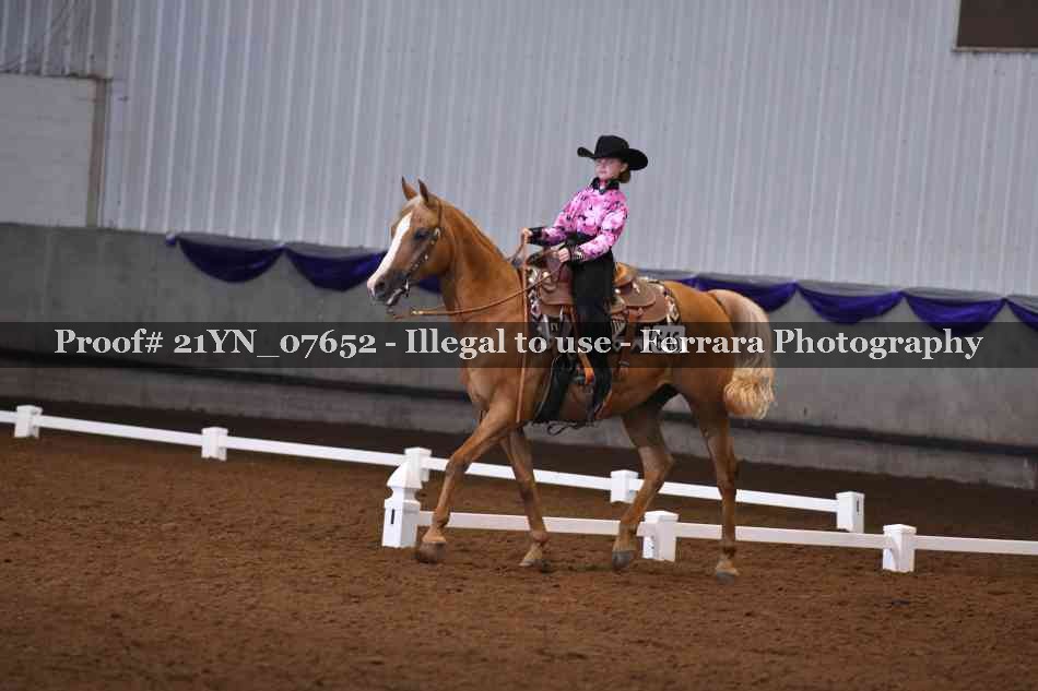 Proof Number 21YN_07652