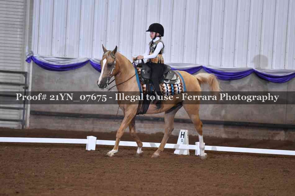 Proof Number 21YN_07675