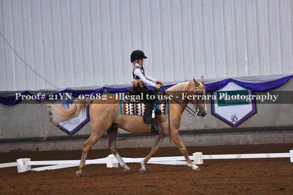 Proof Number 21YN_07682
