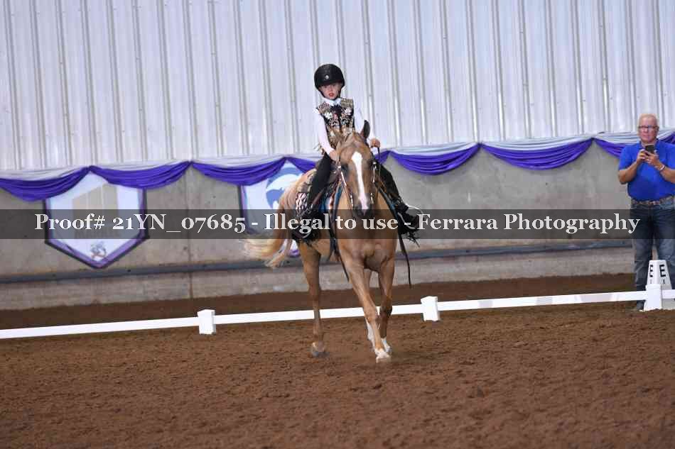 Proof Number 21YN_07685