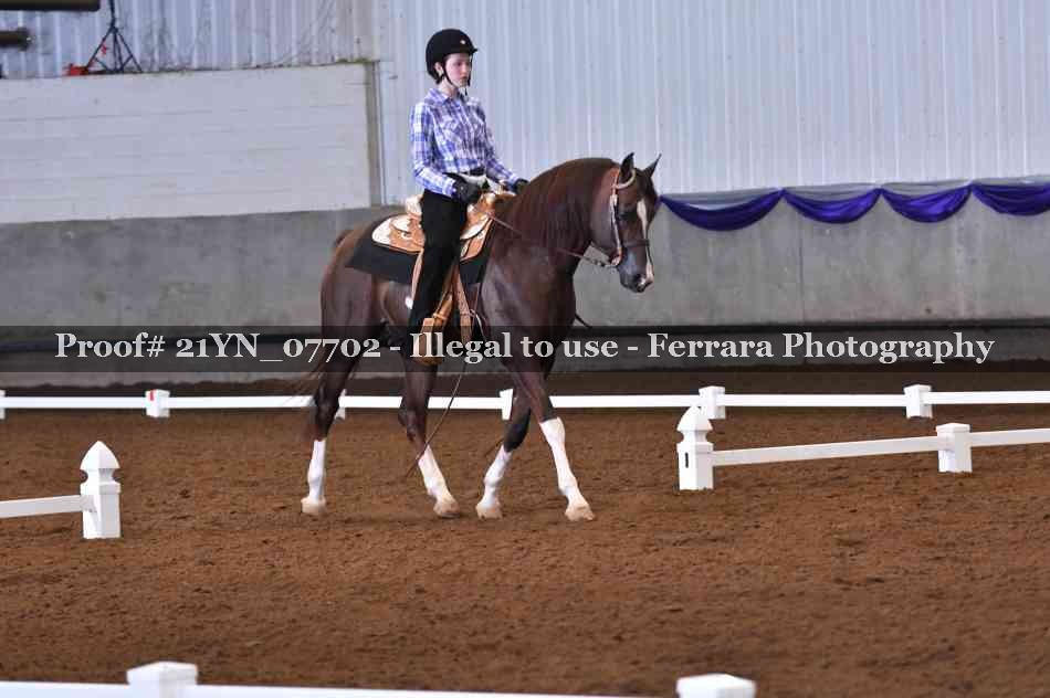 Proof Number 21YN_07702