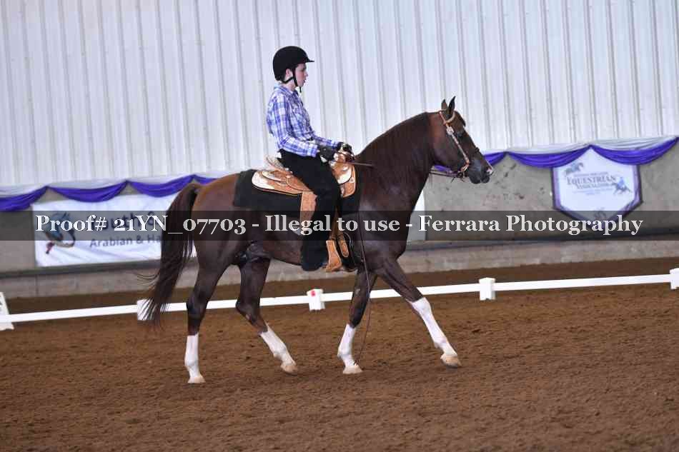 Proof Number 21YN_07703
