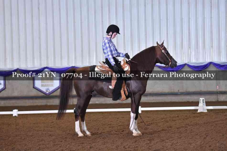 Proof Number 21YN_07704