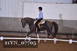 21YN_07705 thumbnail