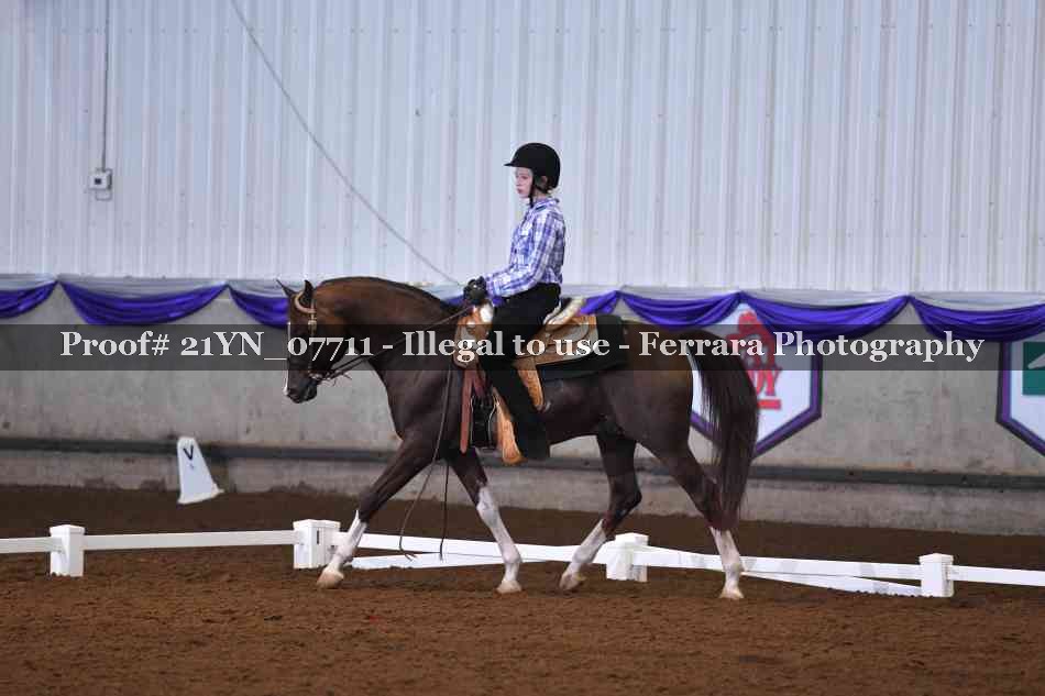 Proof Number 21YN_07711