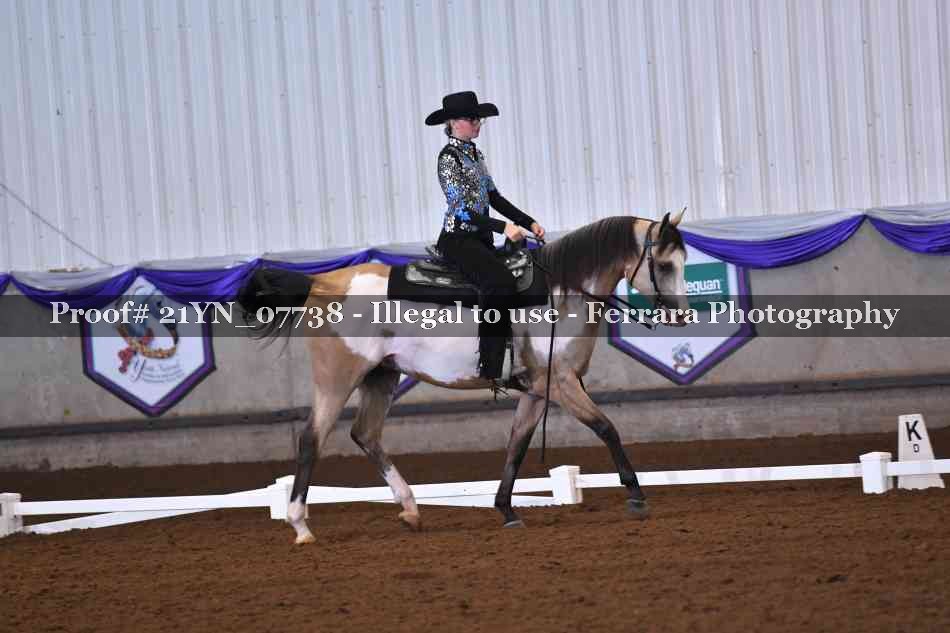 Proof Number 21YN_07738