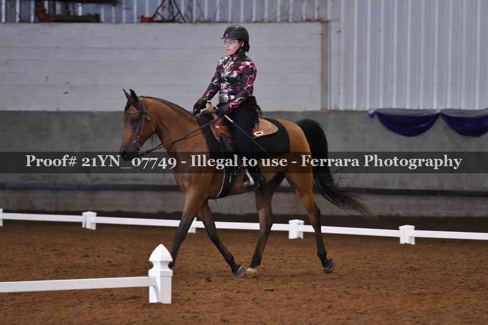 Proof Number 21YN_07749