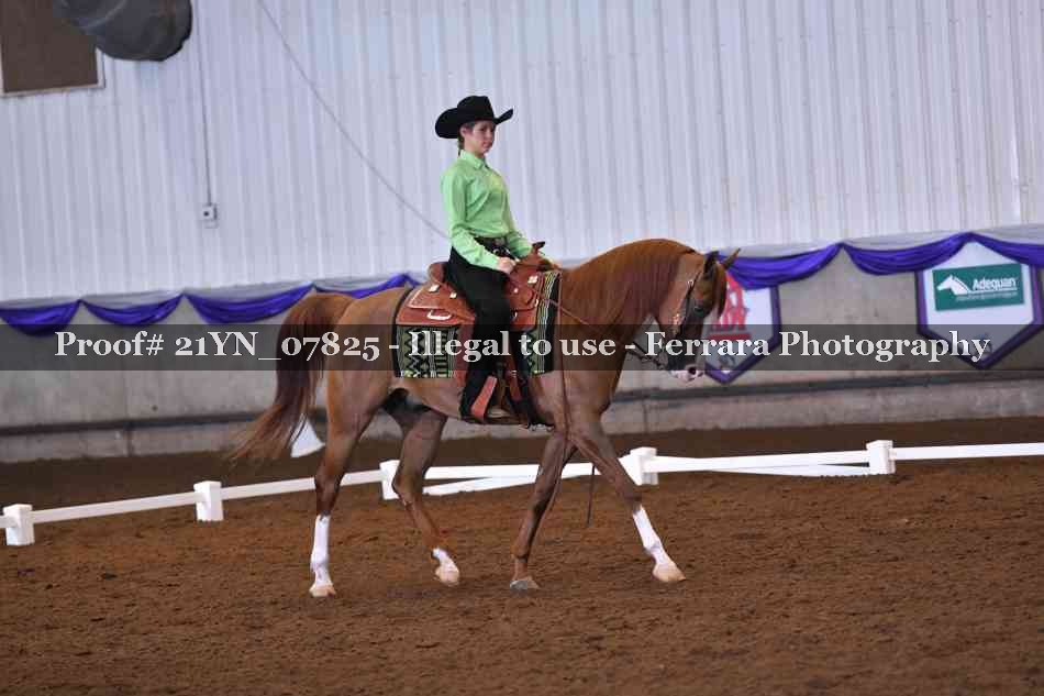 Proof Number 21YN_07825