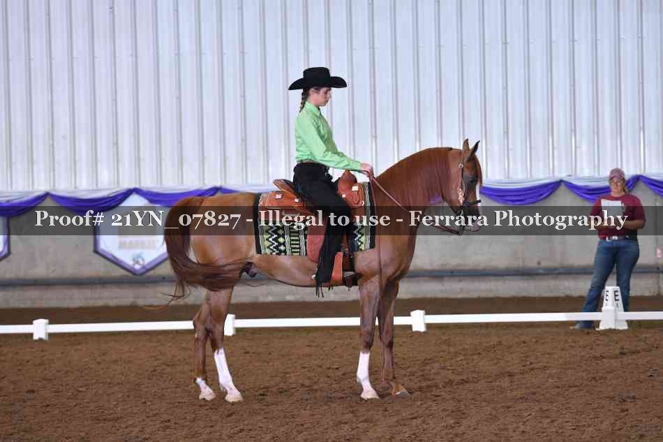 Proof Number 21YN_07827