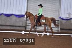21YN_07831 thumbnail