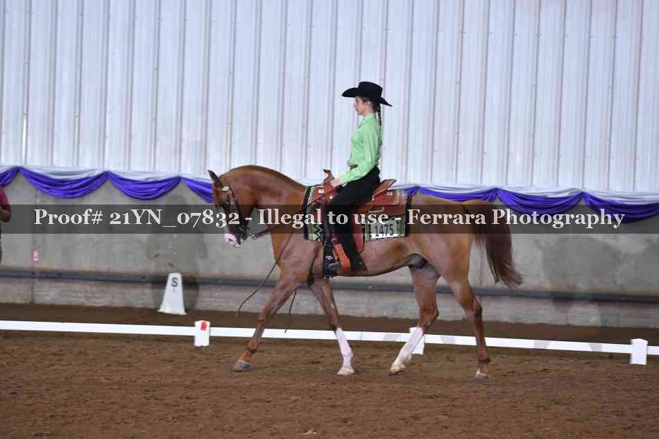 Proof Number 21YN_07832
