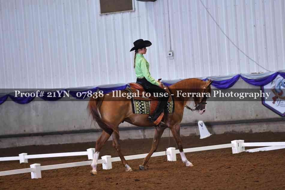 Proof Number 21YN_07838