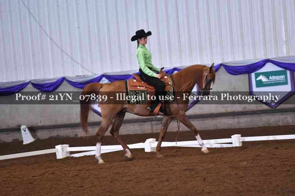 Proof Number 21YN_07839