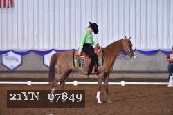 21YN_07849 thumbnail