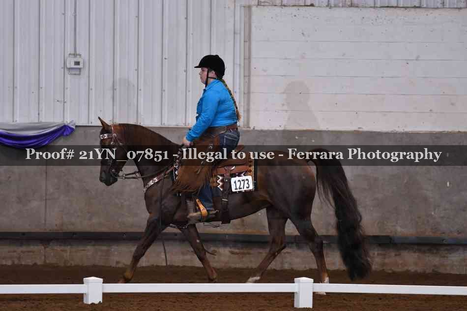 Proof Number 21YN_07851
