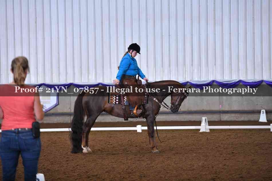 Proof Number 21YN_07857