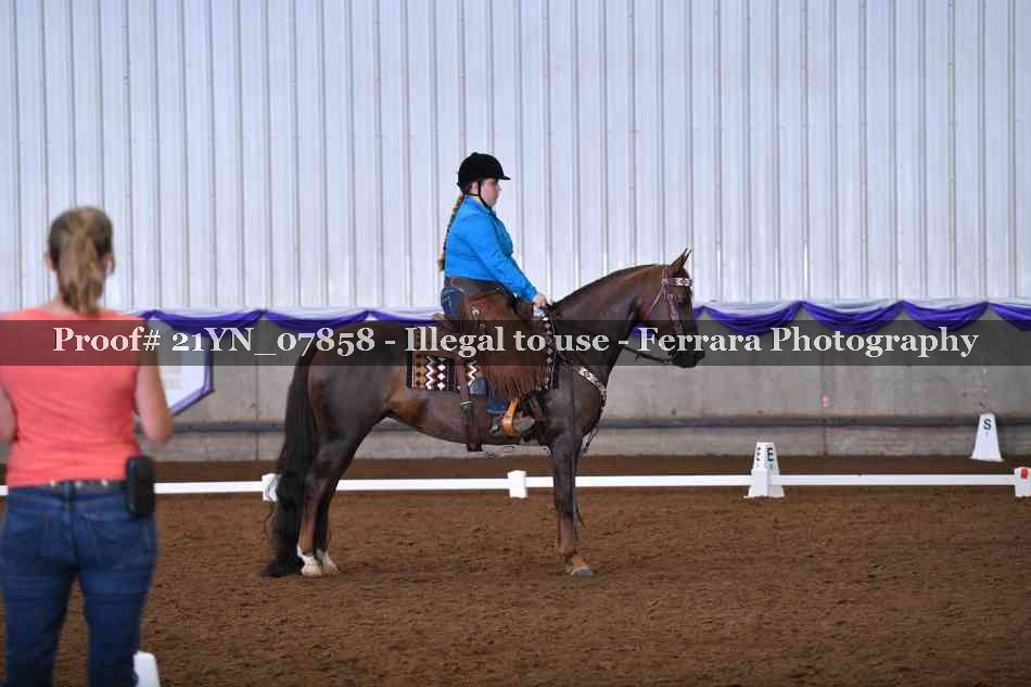 Proof Number 21YN_07858
