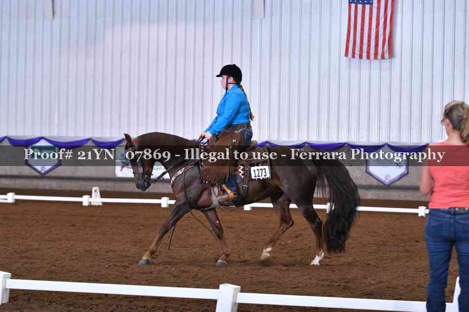 Proof Number 21YN_07869