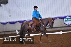 21YN_07871 thumbnail