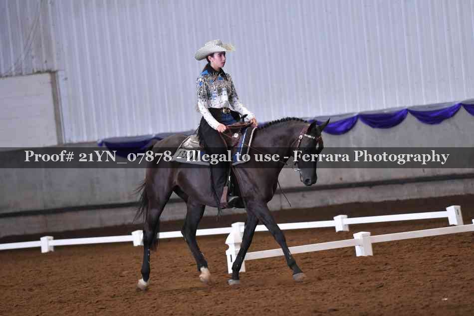 Proof Number 21YN_07878
