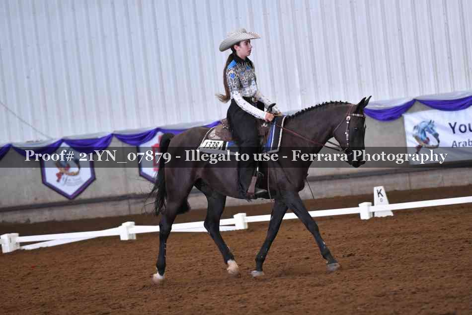 Proof Number 21YN_07879