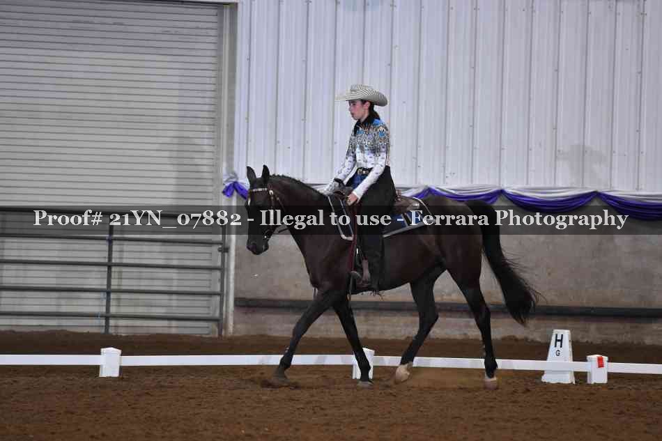Proof Number 21YN_07882