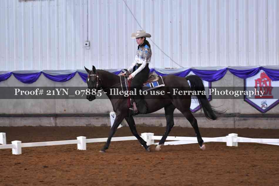 Proof Number 21YN_07885