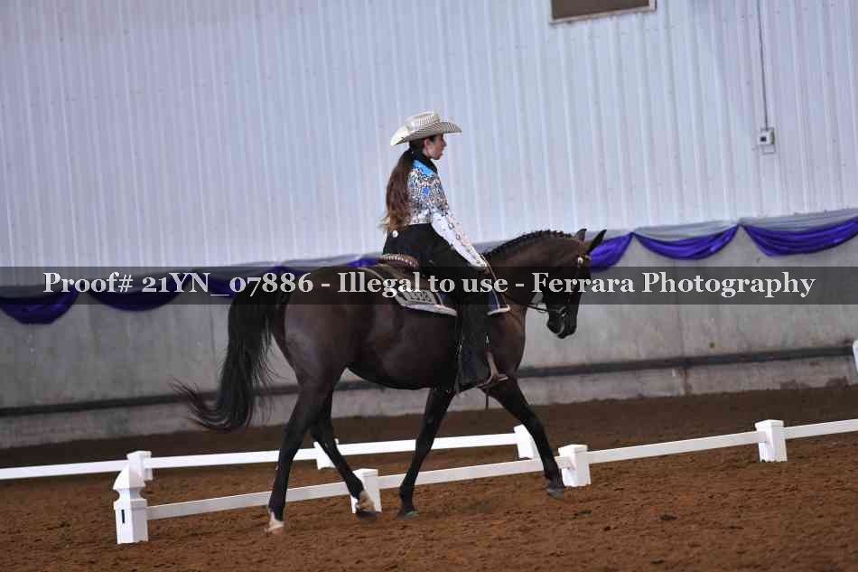 Proof Number 21YN_07886