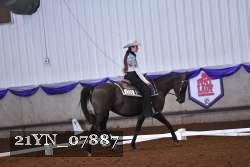 21YN_07887 thumbnail