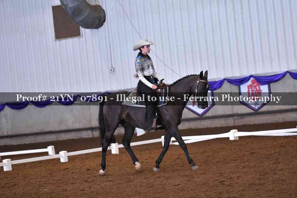 Proof Number 21YN_07891