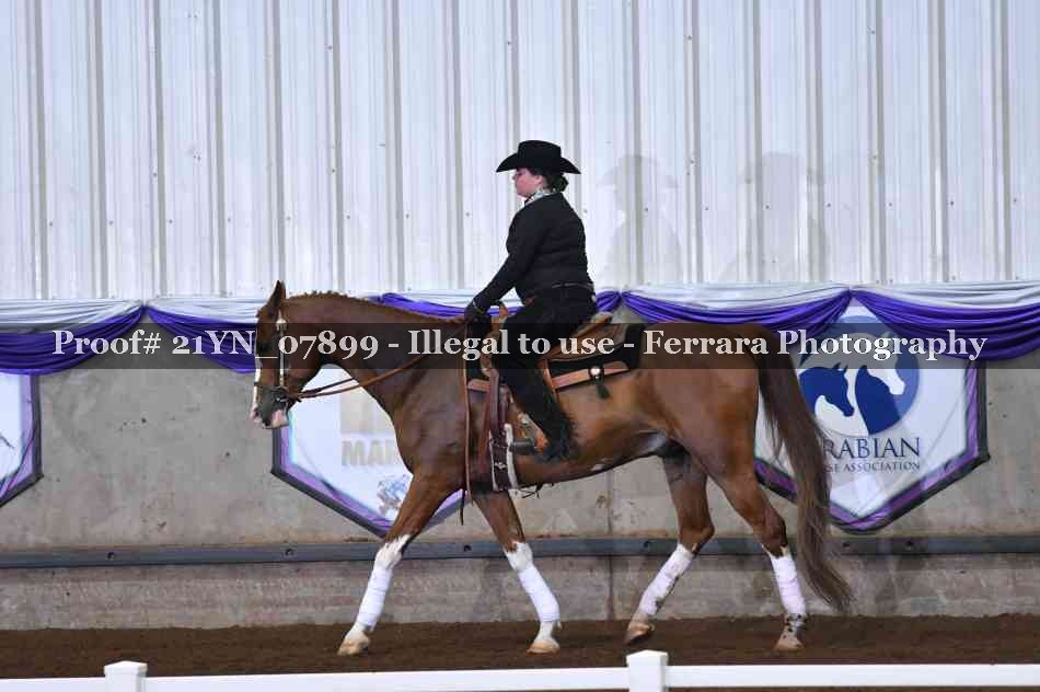Proof Number 21YN_07899