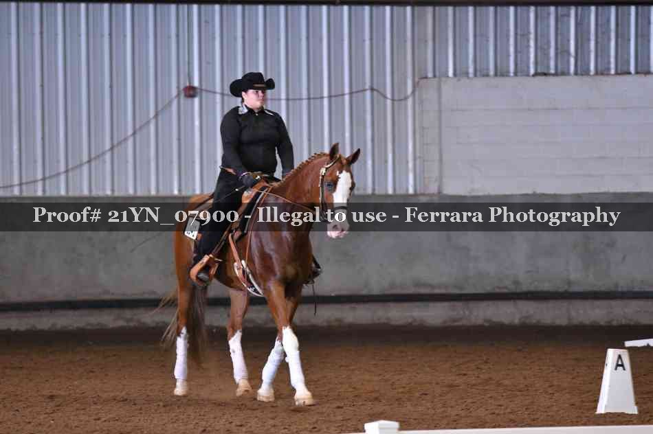 Proof Number 21YN_07900