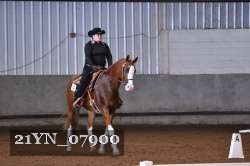 21YN_07900 thumbnail