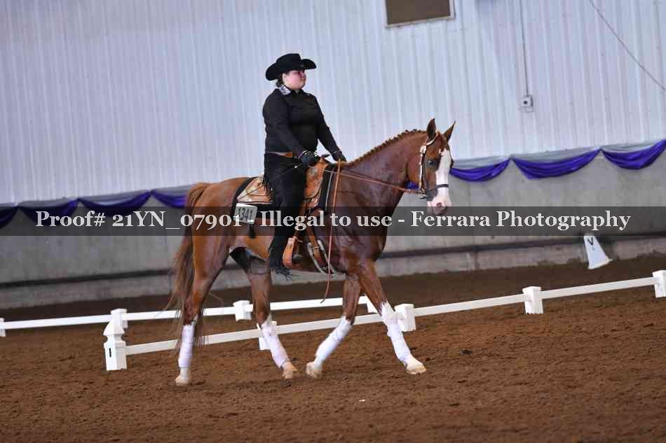 Proof Number 21YN_07901